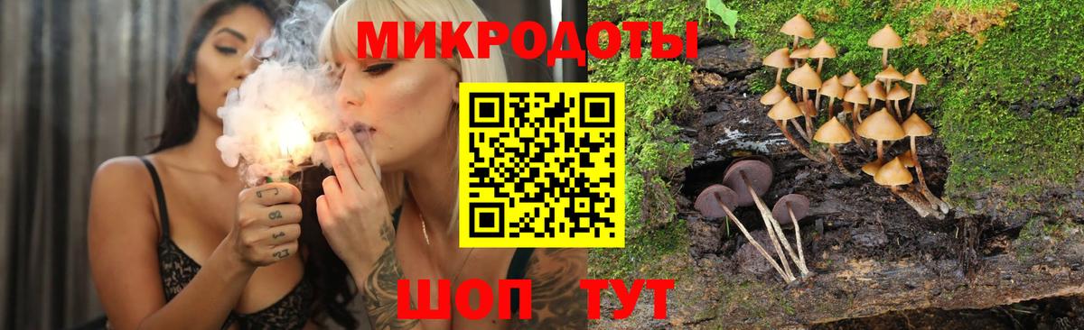 Псилоцибиновые грибы Psilocybine cubensis Куйбышев